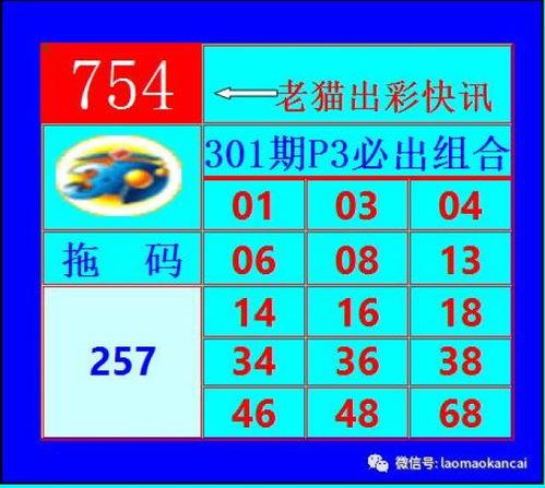 試機(jī)號(hào)3d今天對(duì)應(yīng)碼,對(duì)應(yīng)碼背后的神秘力量”