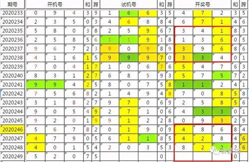 試機(jī)號(hào)3d今天對(duì)應(yīng)碼,對(duì)應(yīng)碼背后的神秘力量”