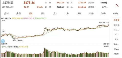 牛年走勢圖,穩(wěn)健攀升，投資機遇與挑戰(zhàn)并存