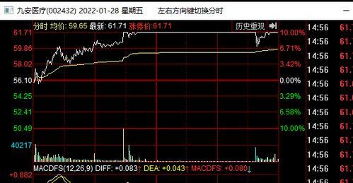 牛年走勢(shì)圖,穩(wěn)健攀升，投資機(jī)遇與挑戰(zhàn)并存