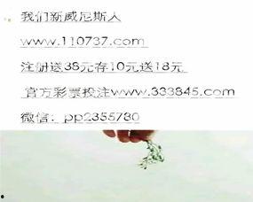 3d天天中彩吧,精彩紛呈的彩票盛宴