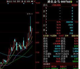 金馬走勢圖,市場動態與投資策略解析