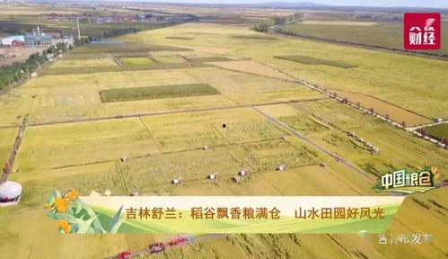 今天舒蘭糧庫3d總圖,揭秘現(xiàn)代化糧庫的宏偉藍圖