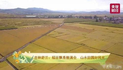 今天舒蘭糧庫3d總圖,揭秘現(xiàn)代化糧庫的宏偉藍圖